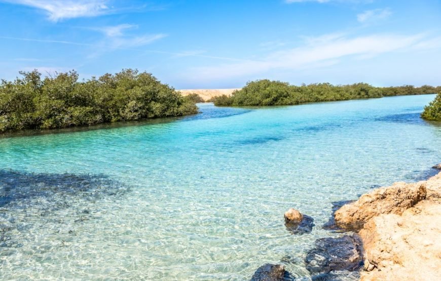 Ras Mohammed Nature Reserve by Bus - Image 7