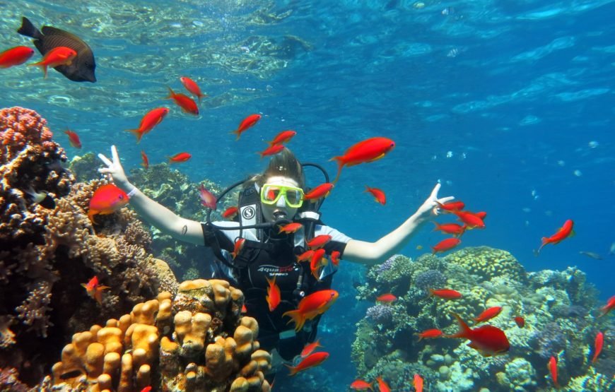 Ras Mohammed Nature Reserve by Bus - Image 4