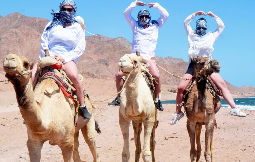Discovery Dahab 5-in-1 Tour