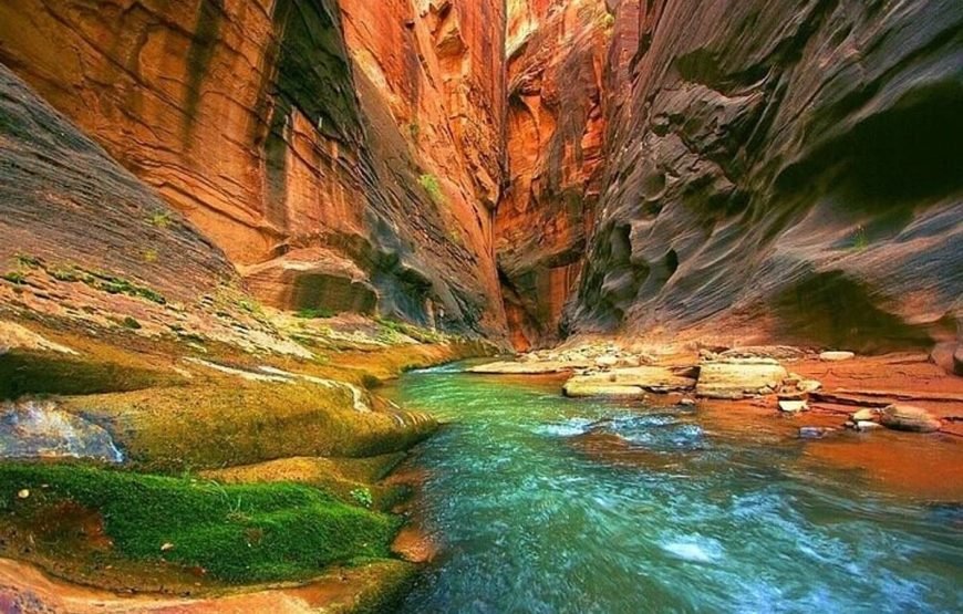 Discovery Dahab 5-in-1 Tour - Image 5